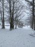 IMG_2800